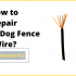 My Pet Command Wireless Dog Fence Review