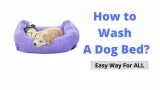 Wash Dog Bed With No Removable Cover