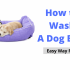 How to Stop Dogs Chewing Their Beds?