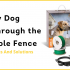 Troubleshooting Problems with PetSafe Dog Fence