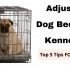 Why Do Dogs Scratch Their Beds?