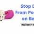 Can Dogs Eat Passion Fruit?