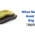 My Dog Sleep on the Floor instead of her Bed?