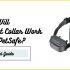 Why Do Dog Collars Have Spikes?