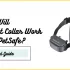 Why Do Dog Collars Have Spikes?